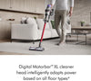 Outsize Origin Cordless Vacuum, Nickel/Red