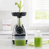 Masticating Juicer, Cold Press Juicer Machine for Celery with Adjustable Dial, 200-Watts, Silver