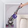 Ball Animal Upright Vacuum - Corded